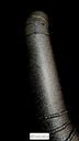 496509809_539879315668702_3148216189997902501_n.webp