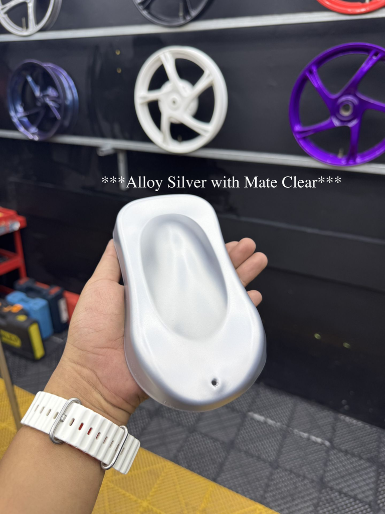 Alloy Silver with Matte Clear 3