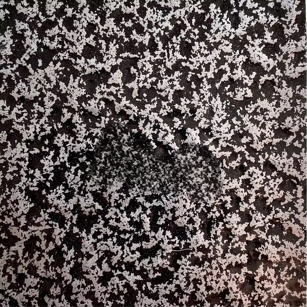 Hammertone Silver